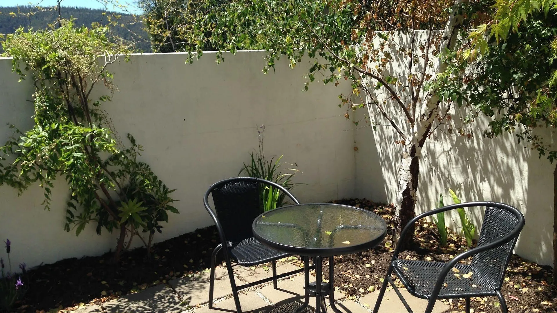 Arjuna Ridge Bed And Breakfast Χόμπαρτ 4*,