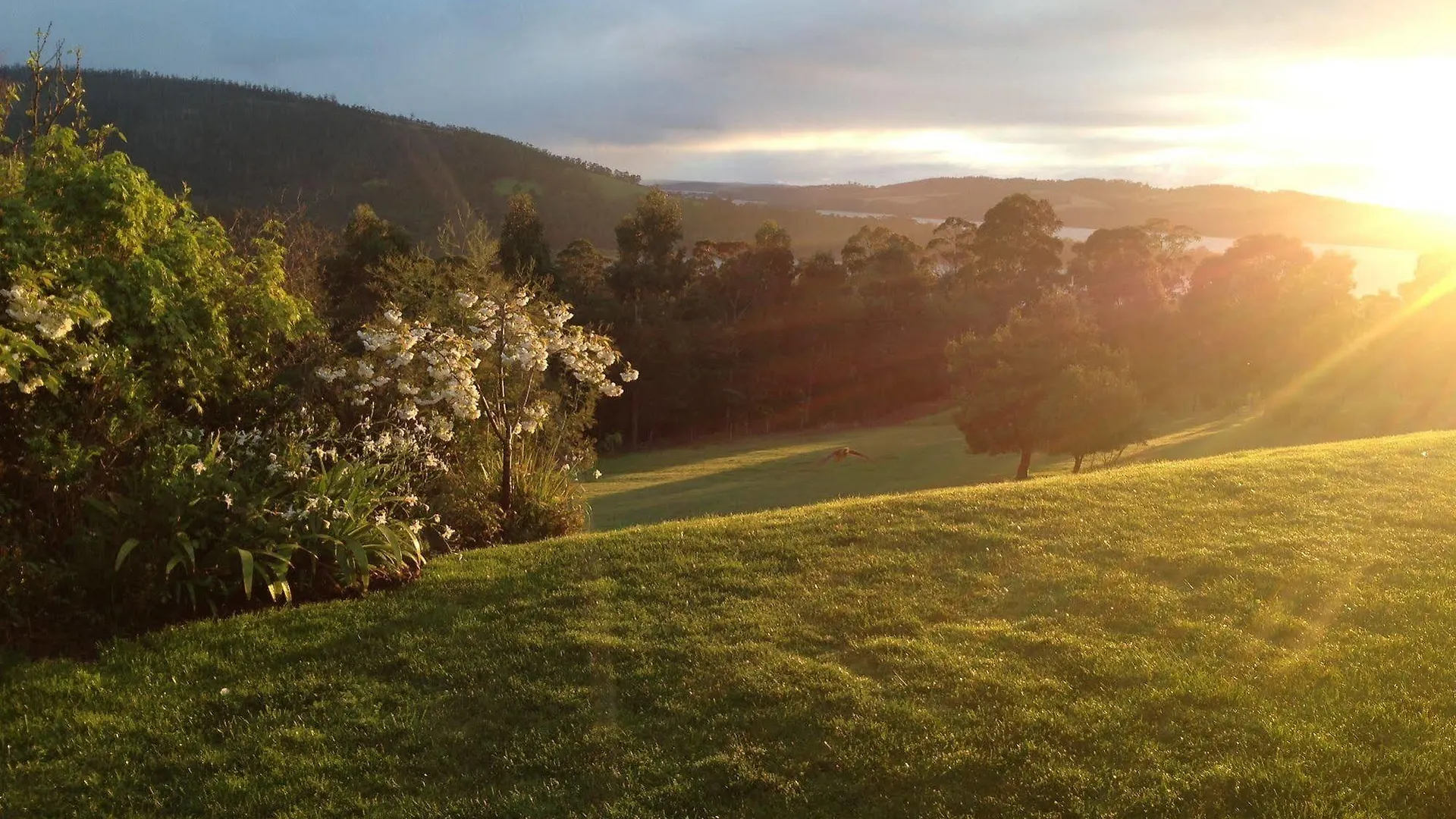 Arjuna Ridge Bed And Breakfast Hobart Bed & Breakfast