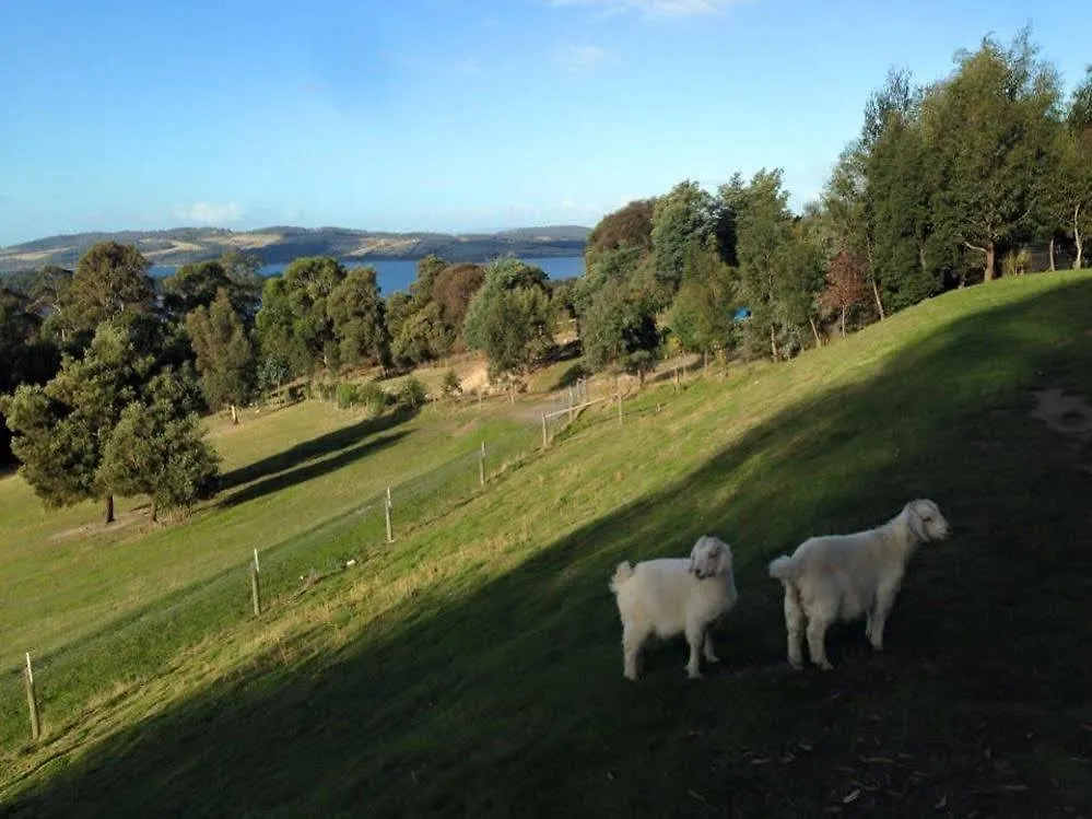 Arjuna Ridge Bed And Breakfast Hobart Australien
